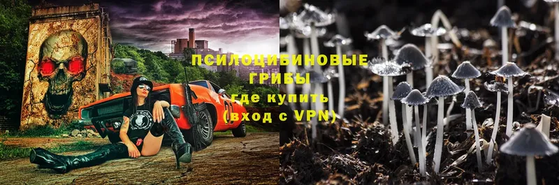 Псилоцибиновые грибы ЛСД  Иркутск 